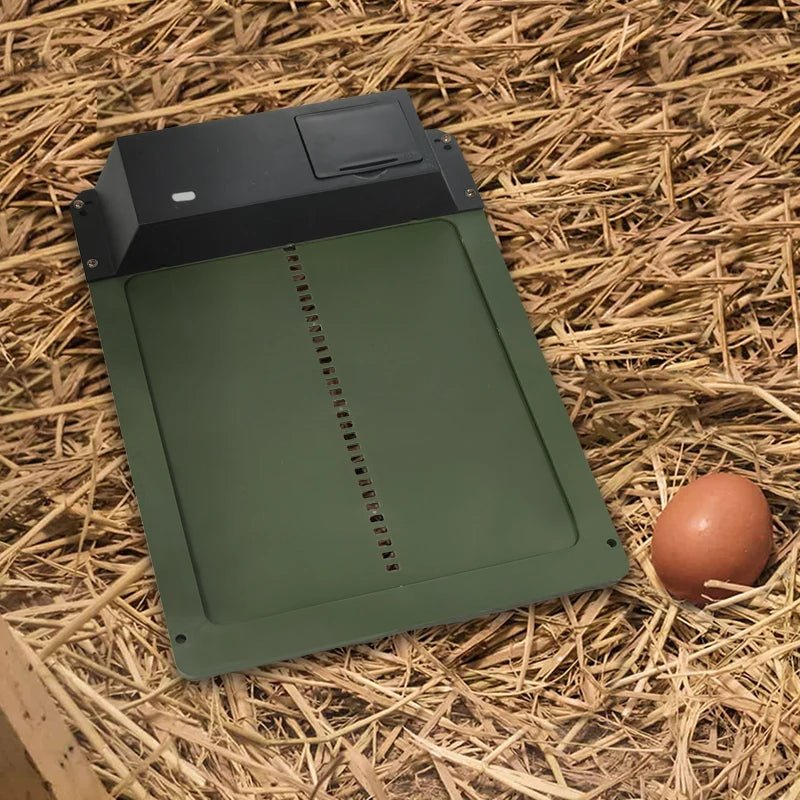 Wholesale Bulk Automatic Chicken Coop Door Opener Battery Powered Light Sense Control Waterproof Pet Flap Accessories Upgrade ABS House Gate - Furbury