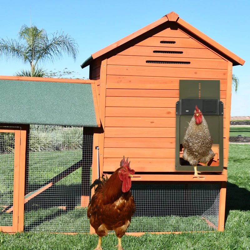 Wholesale Bulk Automatic Chicken Coop Door Opener Battery Powered Light Sense Control Waterproof Pet Flap Accessories Upgrade ABS House Gate - Furbury