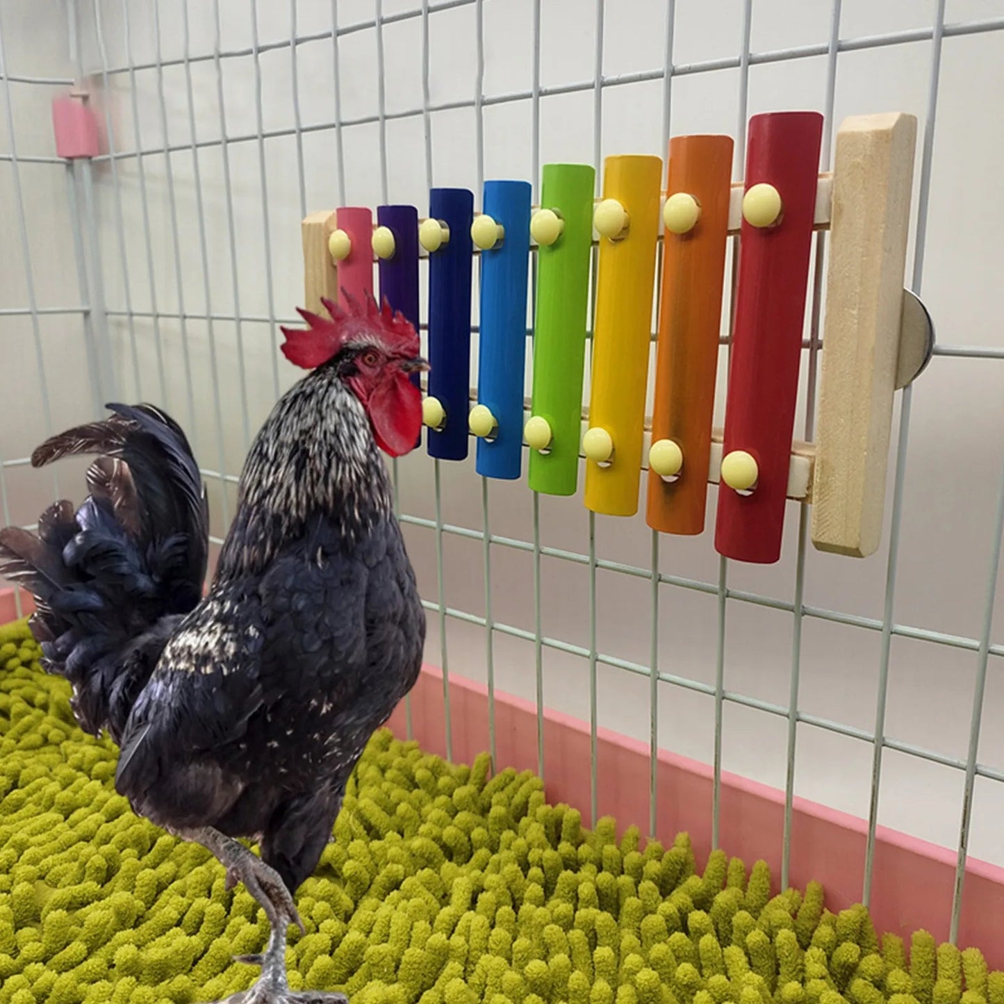 Wholesale Bulk Bird Chicken Xylophone Toy Wooden Suspensible Bird Cage Accessories Musical Toy with 8 Keys for Chicken Bird Parrot Macaw Hens - Furbury