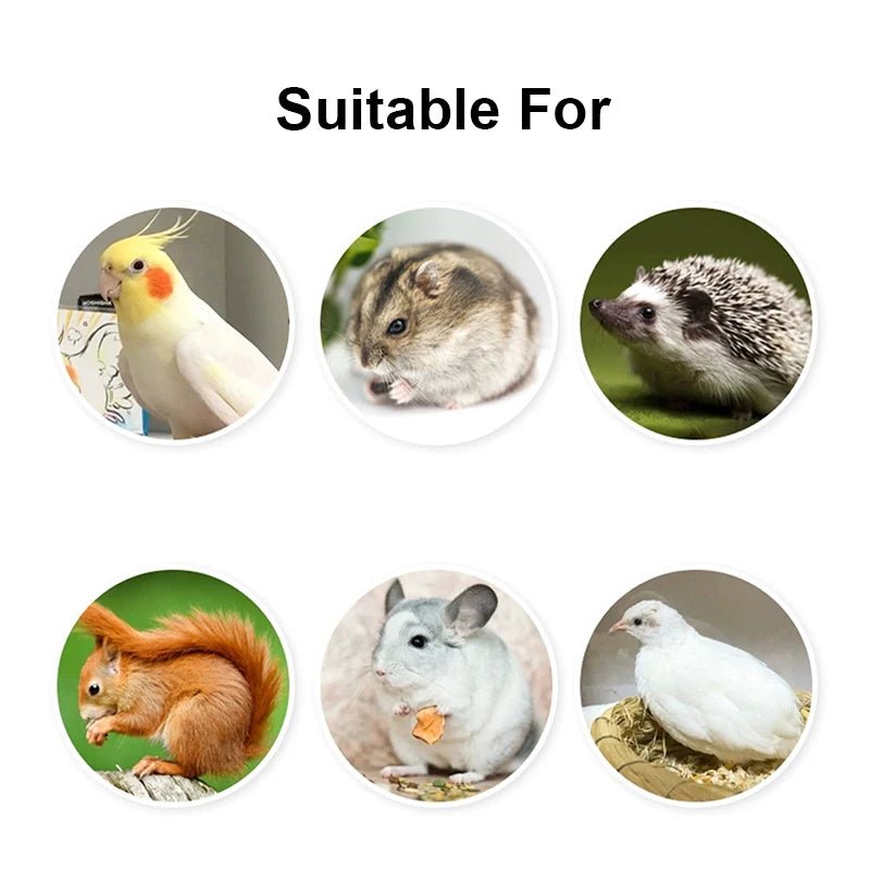Wholesale Bulk Bird Feeding Bowl Detachable Transparent Bowl Plastic Food Cup For Cage Convenient Hanging Seed Water Feeder for Parrots - Furbury