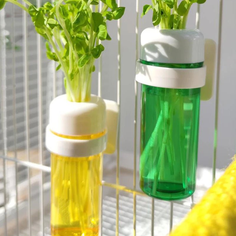 Wholesale Bulk Bird Parrot Feeder Cage Vegetable Holder Preservation Jar Cage Accessories Hanging Basket Container Toys Budgie Cage Supplies - Furbury