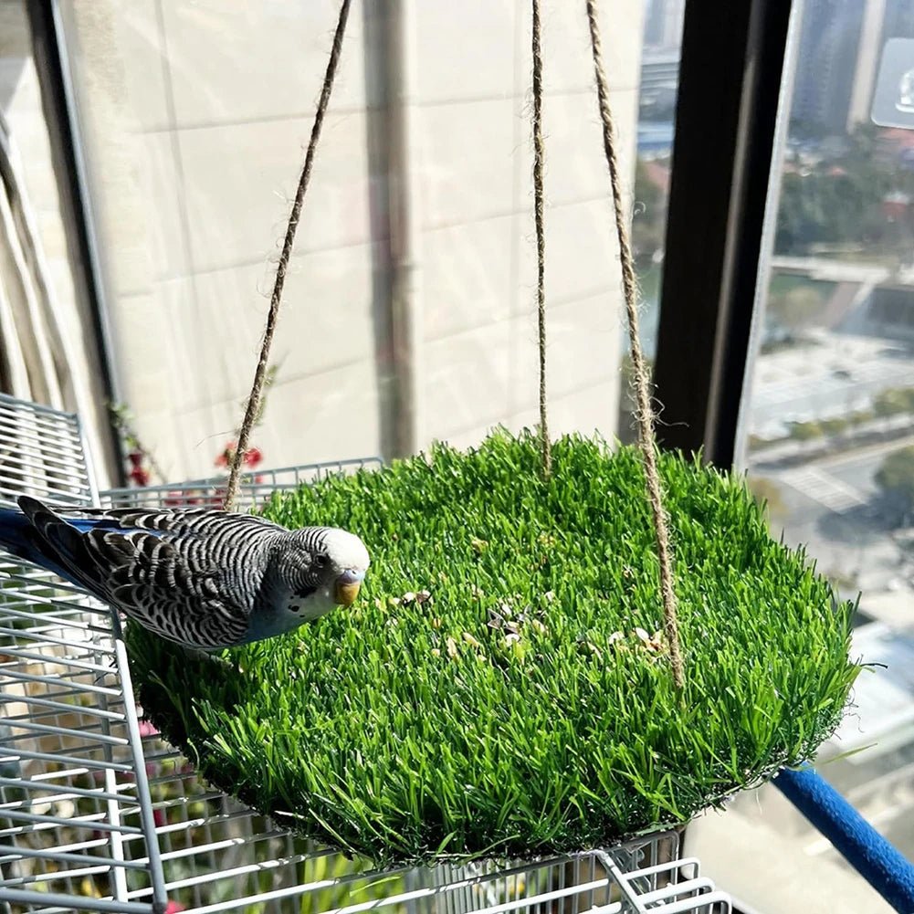 Wholesale Bulk Birds Swing For Parakeets Bird Grass Swing Mat Parrot Cage Hammock with Adjustable Rope Hook Grass Mat Bird Foraging Toys - Furbury