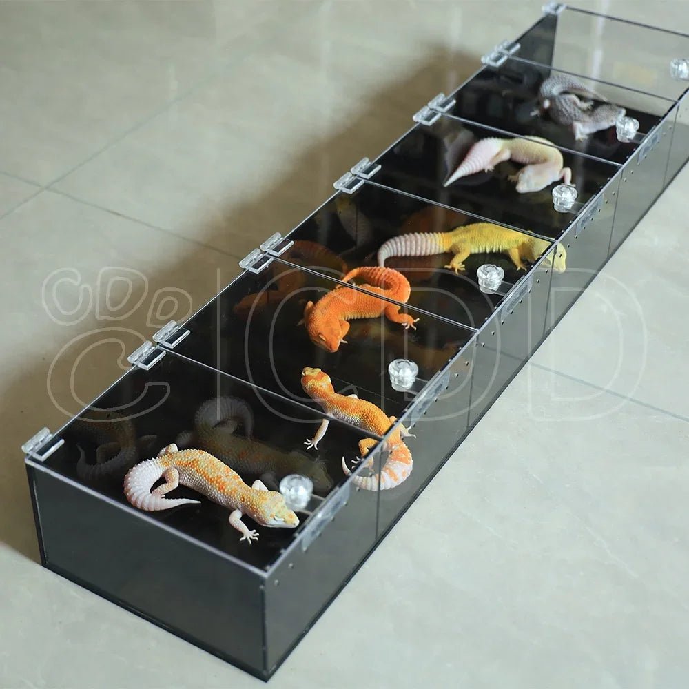Wholesale Bulk Custom Acrylic Reptile Displays Cage Designing and Manufacturing Premium Reptile Snake Products Acrylic Stand Display Expo - Furbury