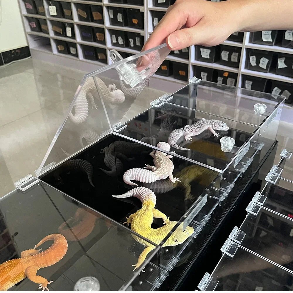 Wholesale Bulk Custom Acrylic Reptile Displays Cage Designing and Manufacturing Premium Reptile Snake Products Acrylic Stand Display Expo - Furbury