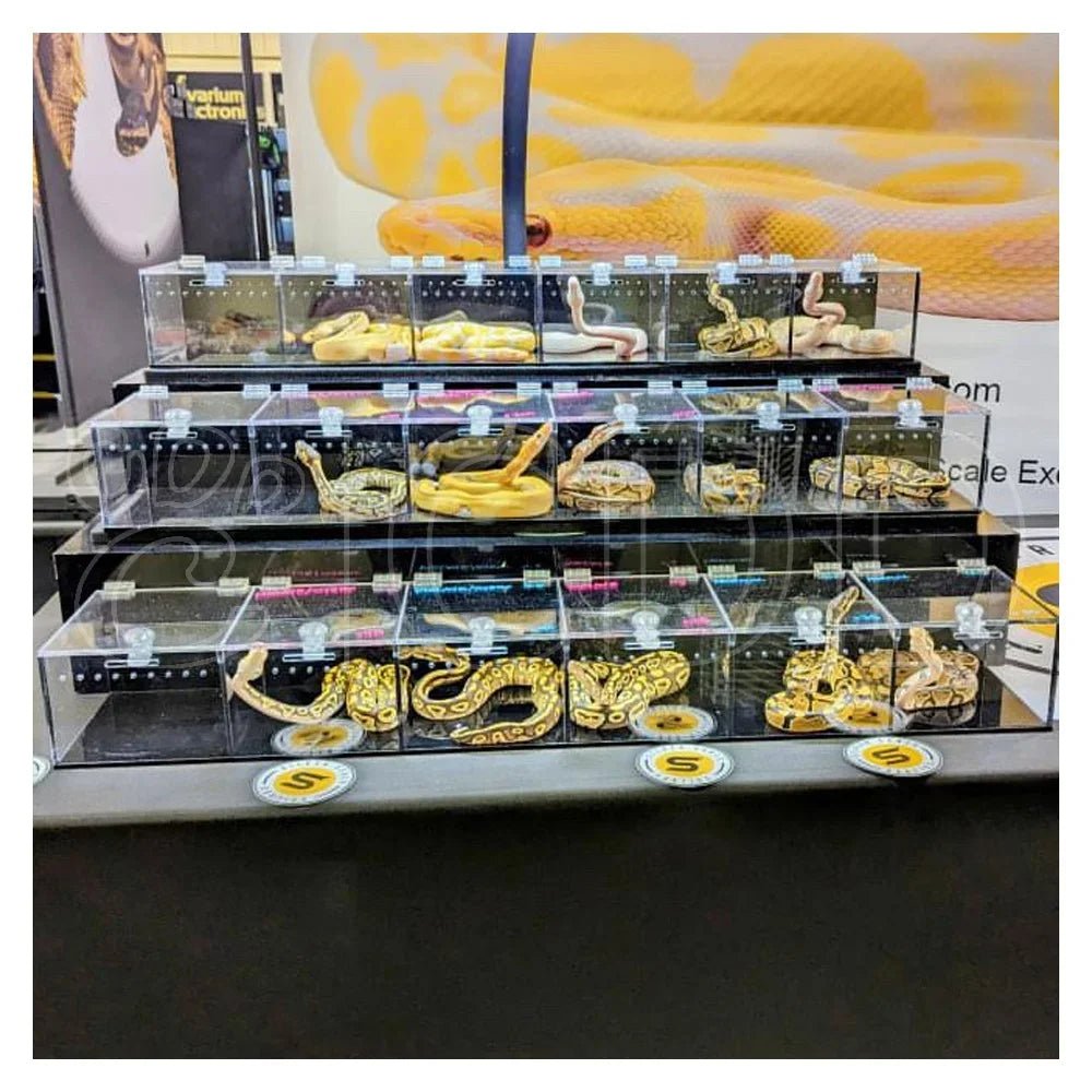Wholesale Bulk Custom Acrylic Reptile Displays Cage Designing and Manufacturing Premium Reptile Snake Products Acrylic Stand Display Expo - Furbury