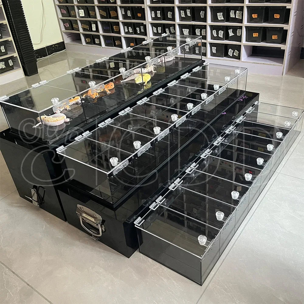 Wholesale Bulk Custom Acrylic Reptile Displays Cage Designing and Manufacturing Premium Reptile Snake Products Acrylic Stand Display Expo - Furbury