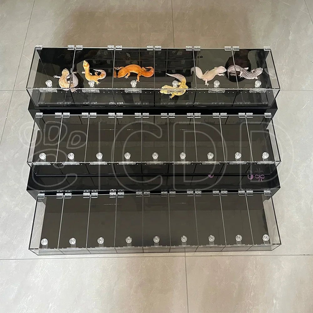 Wholesale Bulk Custom Acrylic Reptile Displays Cage Designing and Manufacturing Premium Reptile Snake Products Acrylic Stand Display Expo - Furbury