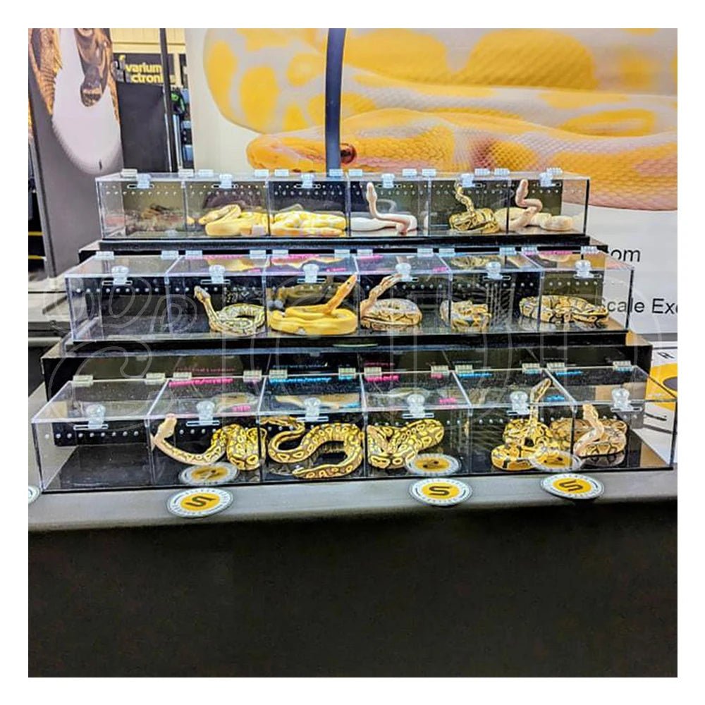Wholesale Bulk Custom Acrylic Reptile Displays Cage Designing and Manufacturing Premium Reptile Snake Products Acrylic Stand Display Expo - Furbury