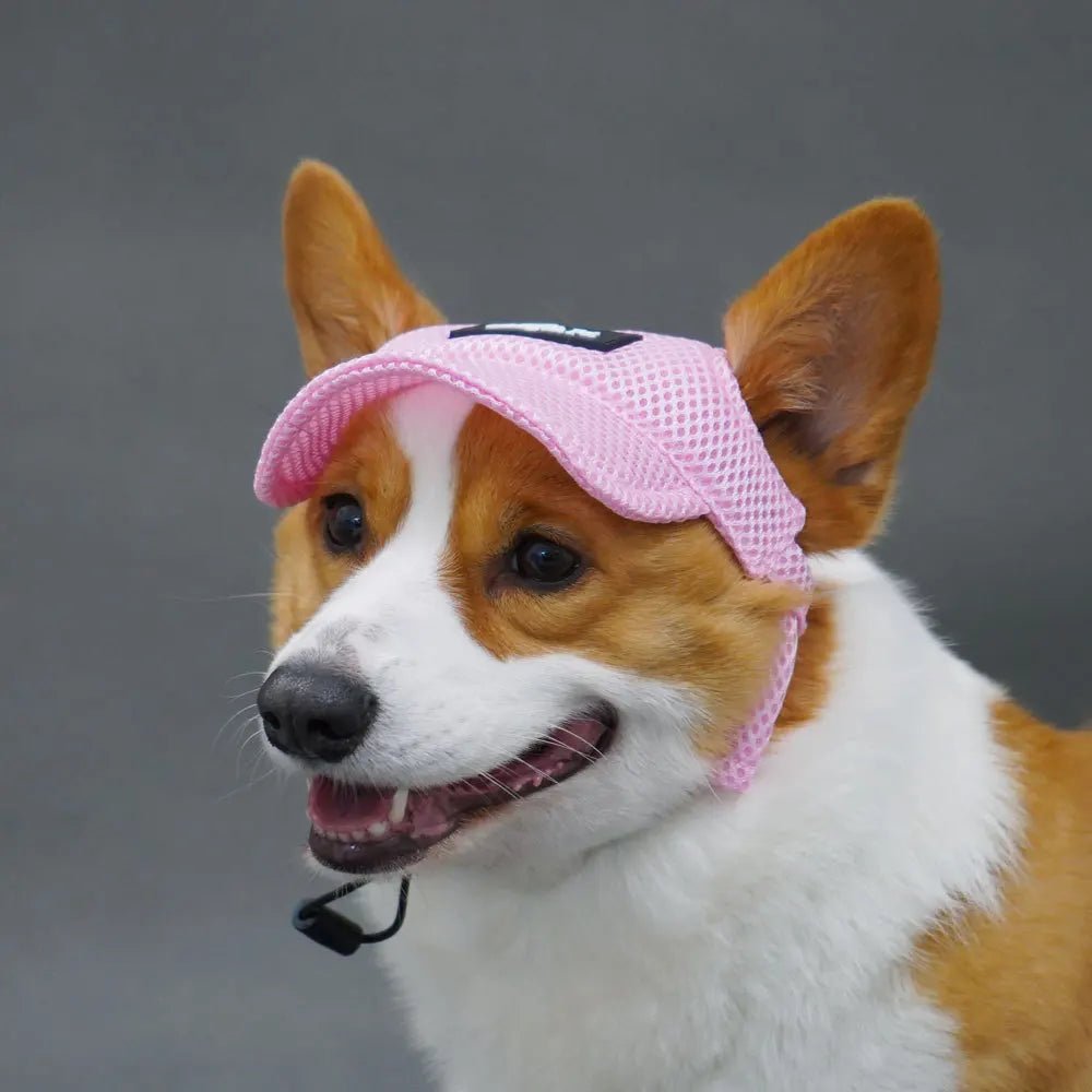 Wholesale Bulk Dog Baseball Cap Mesh Pet Dog Hat Breathable for Small Medium Dogs Ear Holes Adjustable Dog Hat Pet Accessories - Furbury