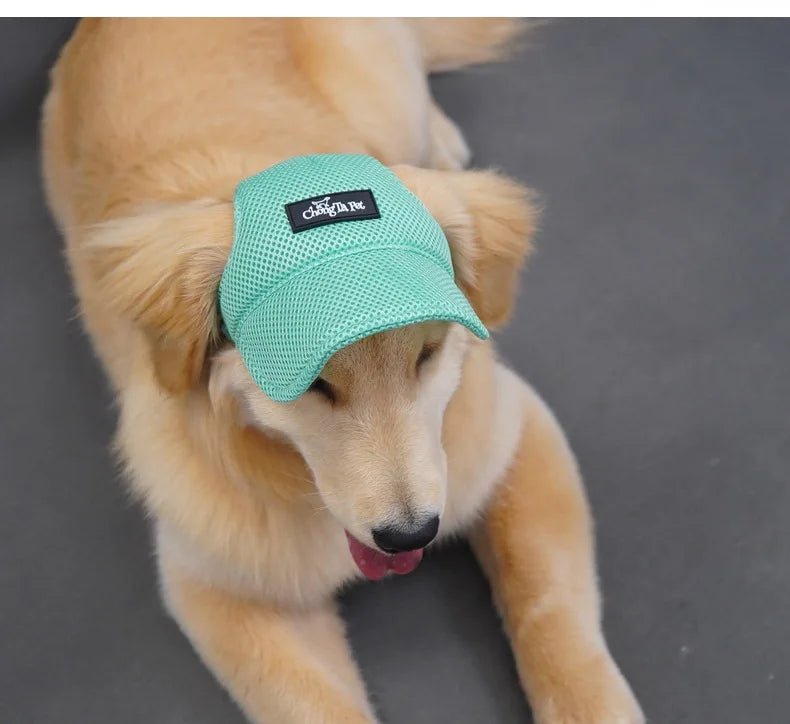 Wholesale Bulk Dog Baseball Cap Mesh Pet Dog Hat Breathable for Small Medium Dogs Ear Holes Adjustable Dog Hat Pet Accessories - Furbury
