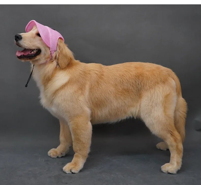 Wholesale Bulk Dog Baseball Cap Mesh Pet Dog Hat Breathable for Small Medium Dogs Ear Holes Adjustable Dog Hat Pet Accessories - Furbury