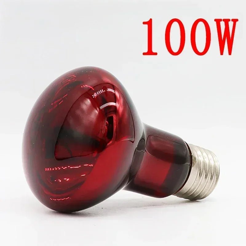 Wholesale Bulk E27 Reptile Heat Lamp 25 - 100W Amphibious Uva Red Heating Bulb Lizards Snakes Spiders Reptiles Breeding Tank Lighting Supplies - Furbury