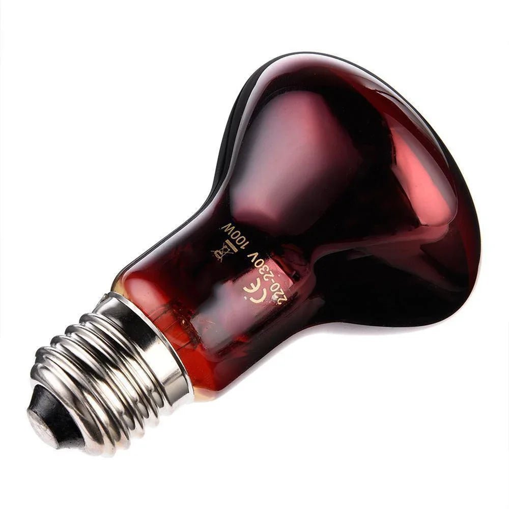 Wholesale Bulk E27 Reptile Heat Lamp 25 - 100W Amphibious Uva Red Heating Bulb Lizards Snakes Spiders Reptiles Breeding Tank Lighting Supplies - Furbury