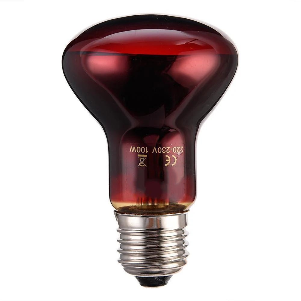 Wholesale Bulk E27 Reptile Heat Lamp 25 - 100W Amphibious Uva Red Heating Bulb Lizards Snakes Spiders Reptiles Breeding Tank Lighting Supplies - Furbury