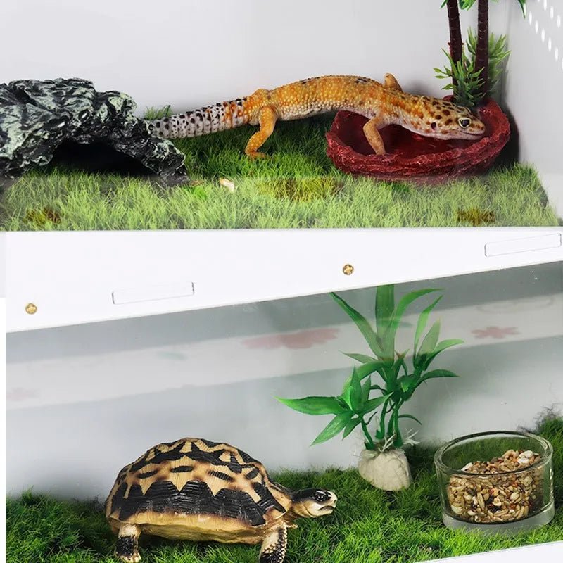 Wholesale Bulk Horned frog lizard spider insect hermit crab turtle tank reptile scorpion gecko Testudo elongata hedgehog incubator Breeding box - Furbury