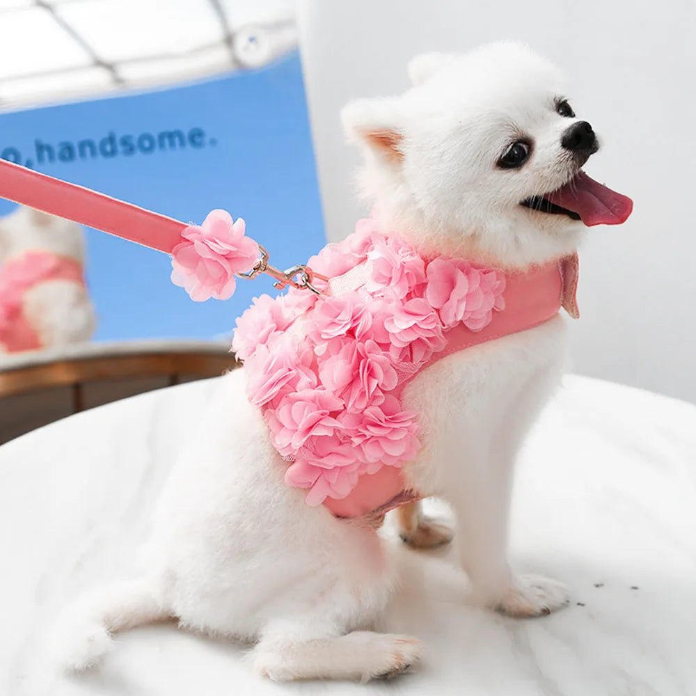 Wholesale Bulk Luxury Flower Girl Dogs Harness and Leash Set No Pull Soft Adjustable Breathable Mesh Cute Floral Puppy Pet Safety Vest Harness - Furbury