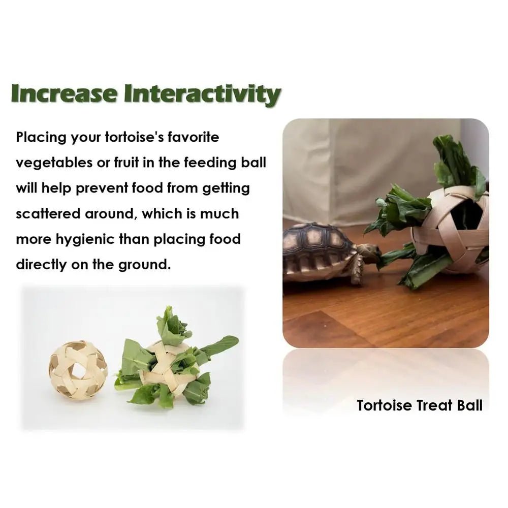 Wholesale Bulk Mini Small Skateboard For Turtles Parrot Toy with 2 Turtle Feeding Ball Fruit Vegetable Holder Finger Skate Board For Tortoise - Furbury