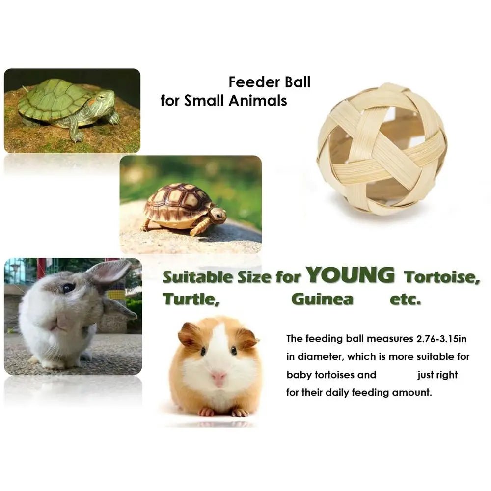 Wholesale Bulk Mini Small Skateboard For Turtles Parrot Toy with 2 Turtle Feeding Ball Fruit Vegetable Holder Finger Skate Board For Tortoise - Furbury