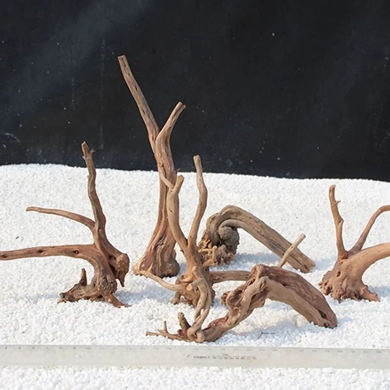 Wholesale Bulk Natural Tree Trunk Driftwood Aquarium Fish Tank Reptile Cylinder Roots Plant Wood Decoration Ornament Accessory Aquarium Plants - Furbury