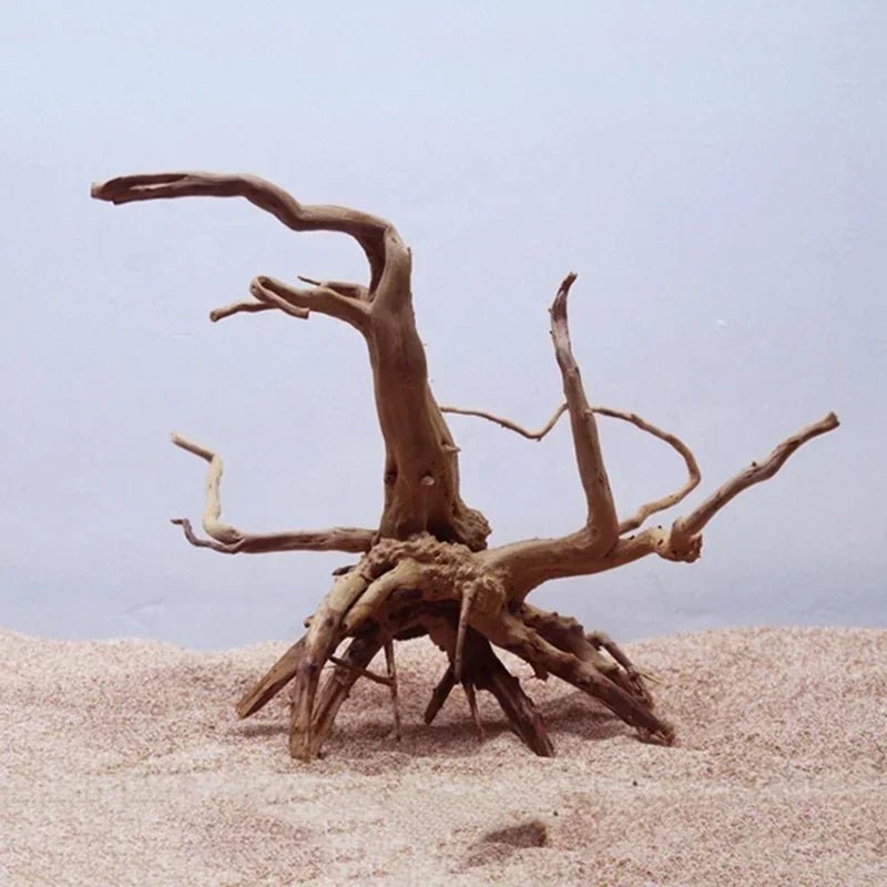 Wholesale Bulk Natural Tree Trunk Driftwood Aquarium Fish Tank Reptile Cylinder Roots Plant Wood Decoration Ornament Accessory Aquarium Plants - Furbury