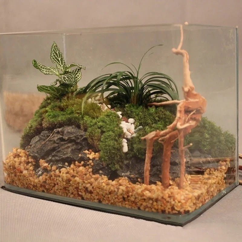 Wholesale Bulk Natural Tree Trunk Driftwood Aquarium Fish Tank Reptile Cylinder Roots Plant Wood Decoration Ornament Accessory Aquarium Plants - Furbury