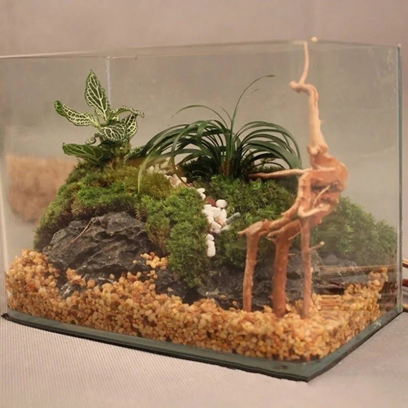 Wholesale Bulk Natural Tree Trunk Driftwood Aquarium Fish Tank Reptile Cylinder Roots Plant Wood Decoration Ornament Accessory Aquarium Plants - Furbury