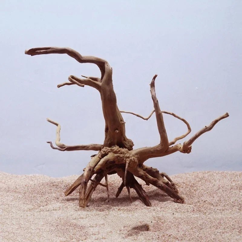 Wholesale Bulk Natural Tree Trunk Driftwood Aquarium Fish Tank Reptile Cylinder Roots Plant Wood Decoration Ornament Accessory Aquarium Plants - Furbury