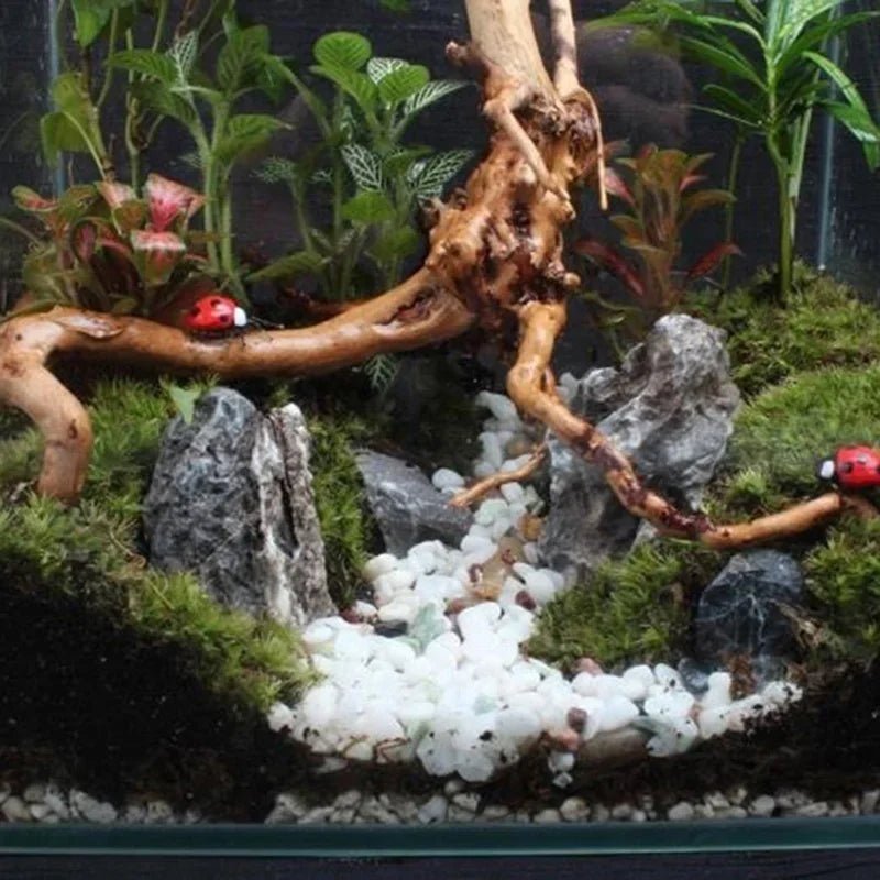 Wholesale Bulk Natural Tree Trunk Driftwood Aquarium Fish Tank Reptile Cylinder Roots Plant Wood Decoration Ornament Accessory Aquarium Plants - Furbury