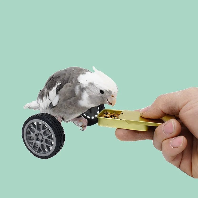 Wholesale Bulk Parrot Balance Car Deboring Toys Small And Medium - Sized Bird Supplies Roller Skateboard Skill Training Props Phoenix Bird Toys - Furbury