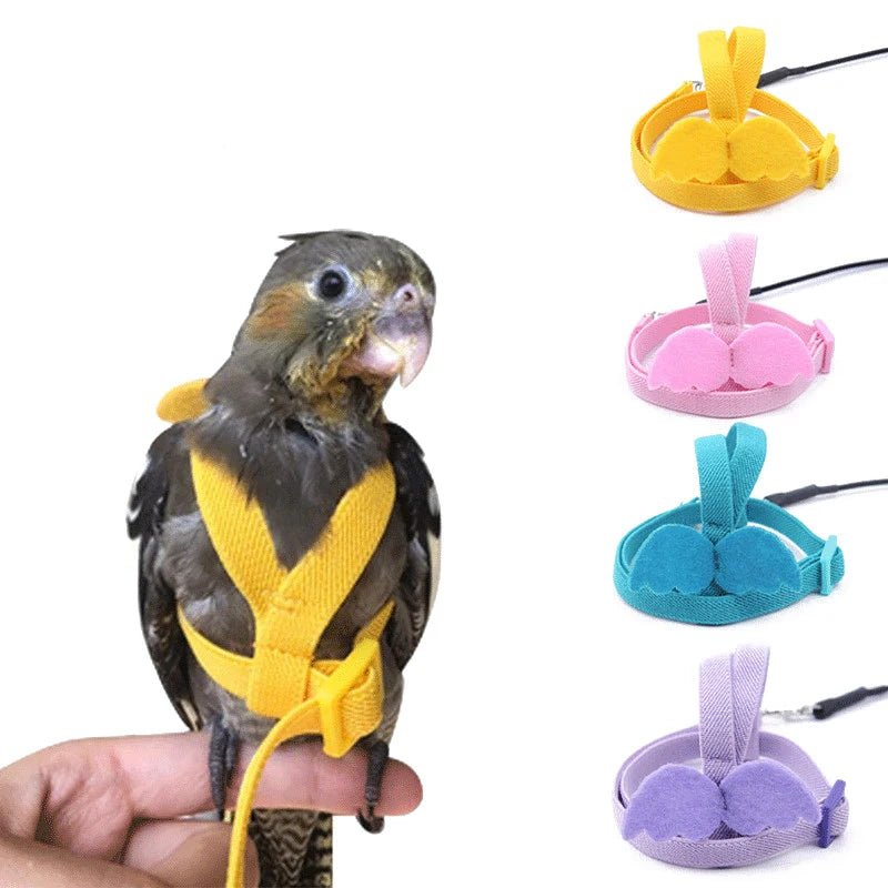 Wholesale Bulk Parrot Flying Harness Leash Suit Pet Bird Outdoor Flight Training Rope Cockatiel Supplies Macaw Accessories Stuff For Budgie - Furbury