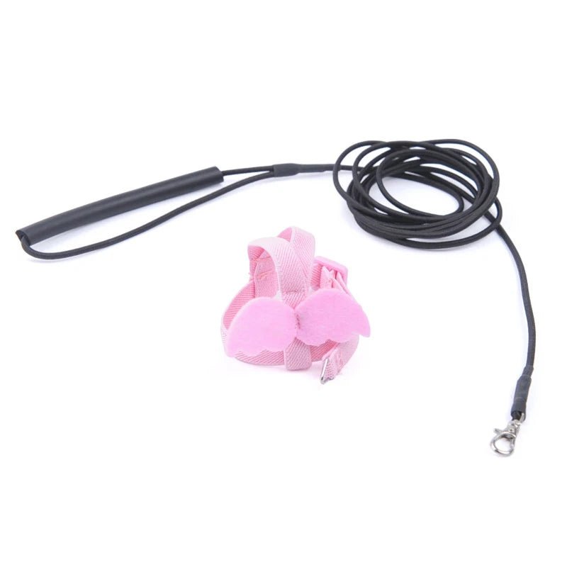Wholesale Bulk Parrot Flying Harness Leash Suit Pet Bird Outdoor Flight Training Rope Cockatiel Supplies Macaw Accessories Stuff For Budgie - Furbury