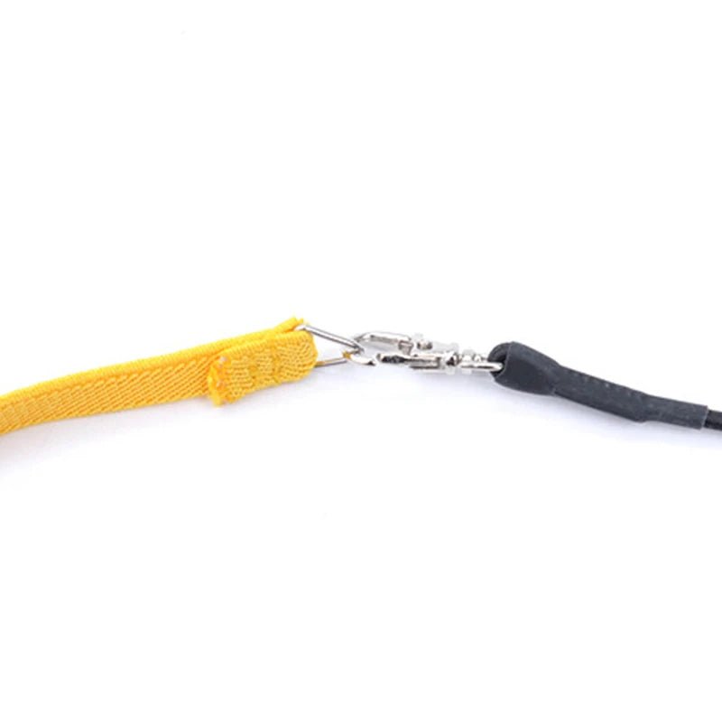 Wholesale Bulk Parrot Flying Harness Leash Suit Pet Bird Outdoor Flight Training Rope Cockatiel Supplies Macaw Accessories Stuff For Budgie - Furbury