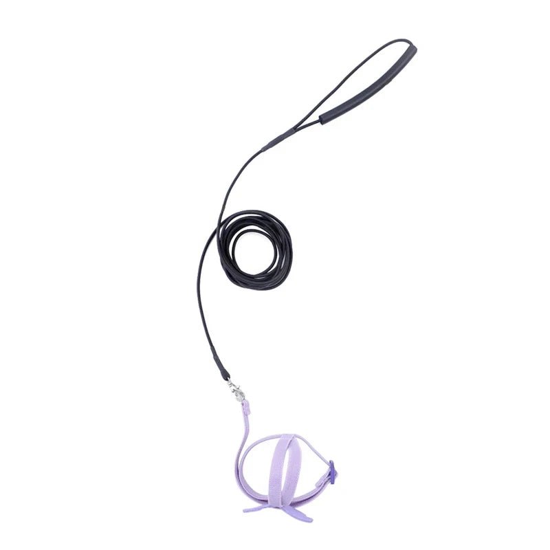Wholesale Bulk Parrot Flying Harness Leash Suit Pet Bird Outdoor Flight Training Rope Cockatiel Supplies Macaw Accessories Stuff For Budgie - Furbury