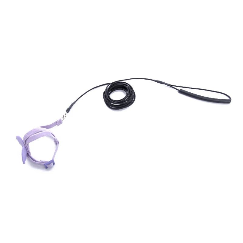 Wholesale Bulk Parrot Flying Harness Leash Suit Pet Bird Outdoor Flight Training Rope Cockatiel Supplies Macaw Accessories Stuff For Budgie - Furbury