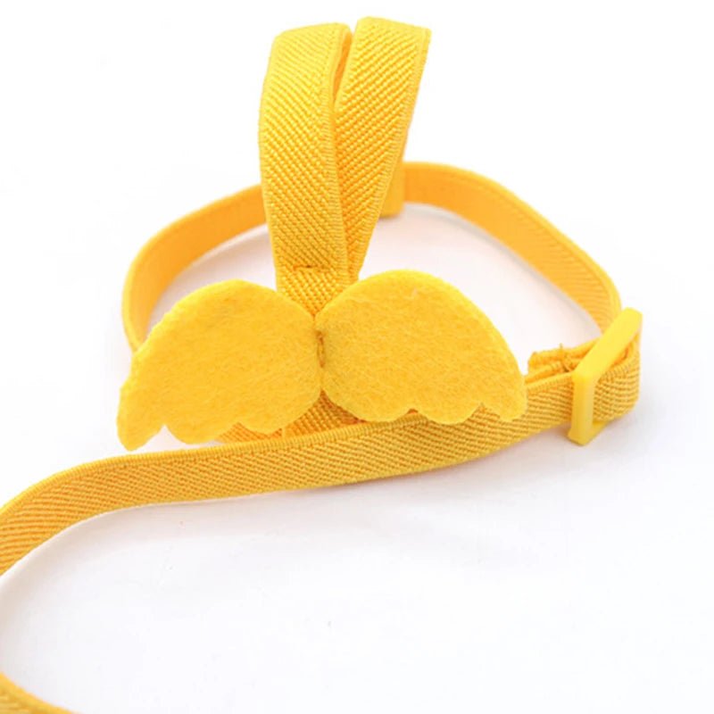 Wholesale Bulk Parrot Flying Harness Leash Suit Pet Bird Outdoor Flight Training Rope Cockatiel Supplies Macaw Accessories Stuff For Budgie - Furbury