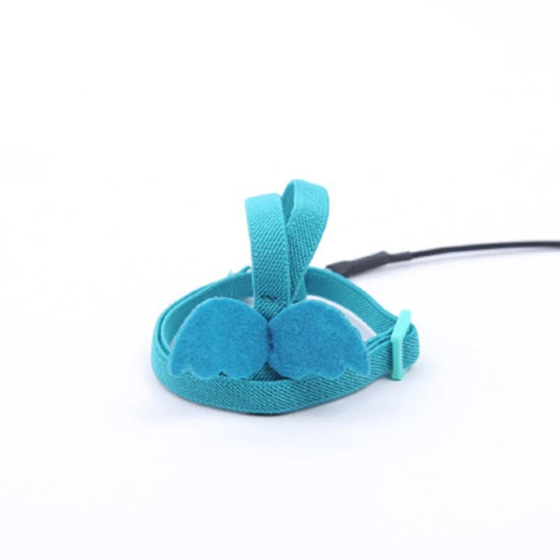 Wholesale Bulk Parrot Flying Harness Leash Suit Pet Bird Outdoor Flight Training Rope Cockatiel Supplies Macaw Accessories Stuff For Budgie - Furbury