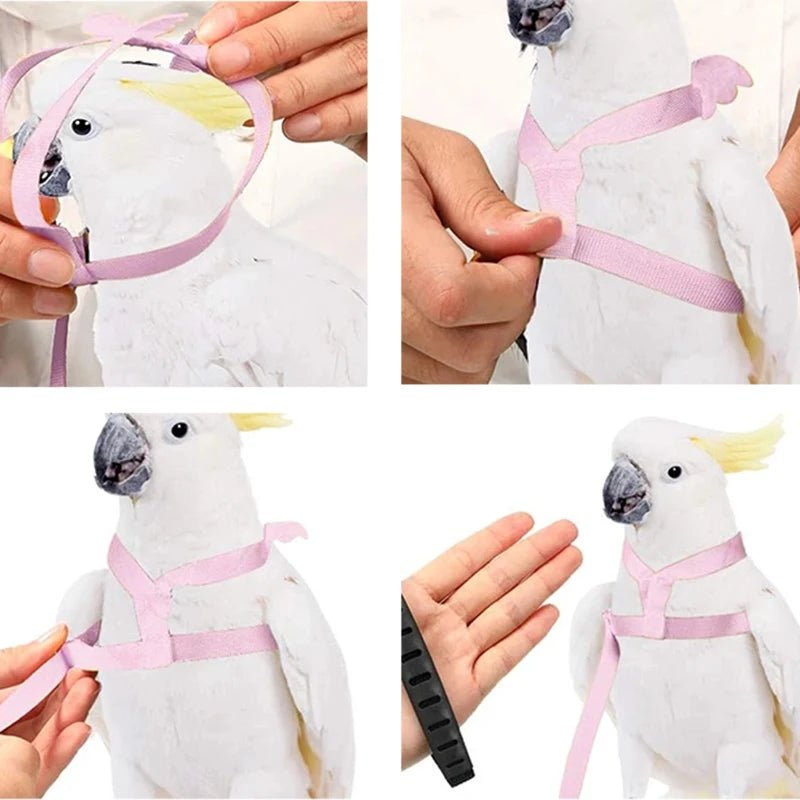 Wholesale Bulk Parrot Flying Harness Leash Suit Pet Bird Outdoor Flight Training Rope Cockatiel Supplies Macaw Accessories Stuff For Budgie - Furbury
