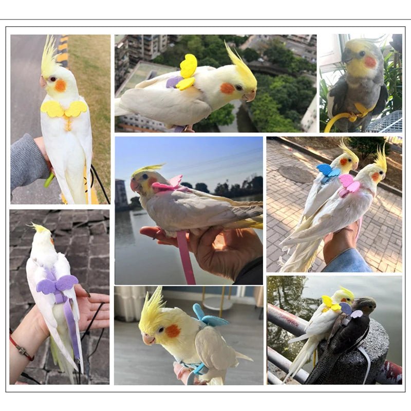 Wholesale Bulk Parrot Flying Harness Leash Suit Pet Bird Outdoor Flight Training Rope Cockatiel Supplies Macaw Accessories Stuff For Budgie - Furbury