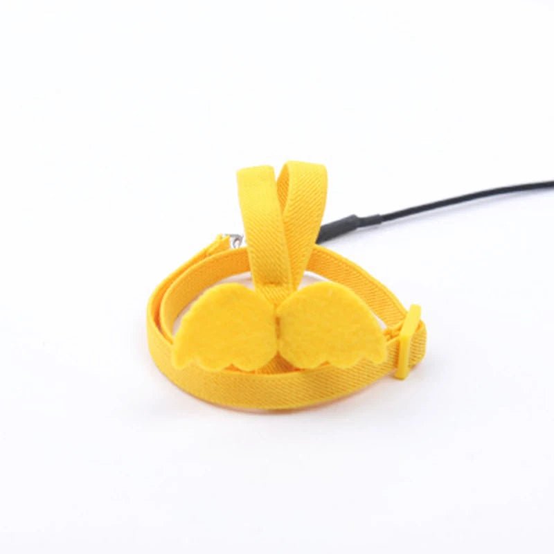 Wholesale Bulk Parrot Flying Harness Leash Suit Pet Bird Outdoor Flight Training Rope Cockatiel Supplies Macaw Accessories Stuff For Budgie - Furbury