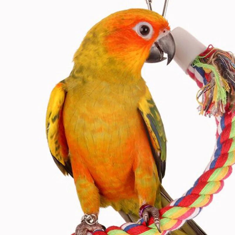 Wholesale Bulk Parrot Toy Wicker Rope Hanging Braided Budgie Chew Bird Cage Cockatiel Toy Pet Stand Training Accessories Bite Swing Supplies - Furbury