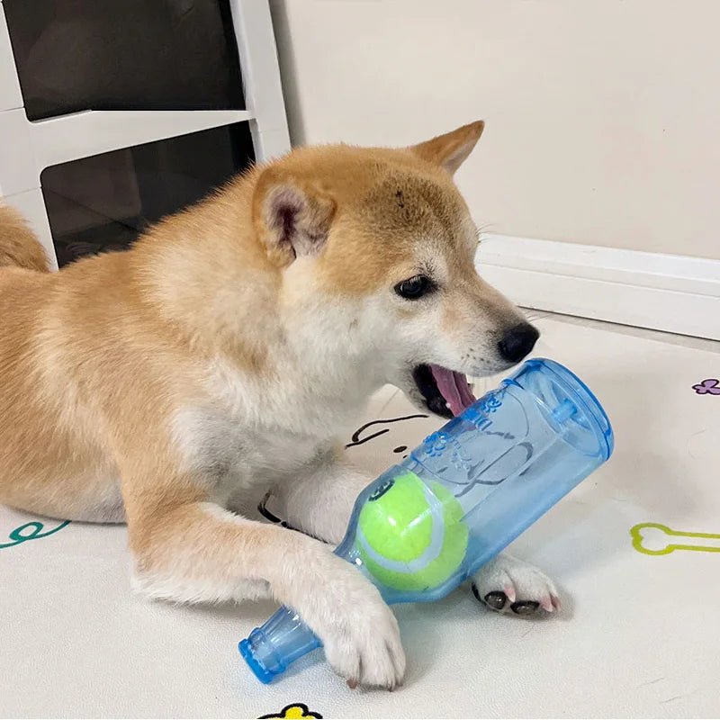 Wholesale Bulk Pet Chew Toy TPR Bite - resistance Beer Bottle with Tennis Ball Toy Puppy Teeth Grinding dog Chewing Squeaky Interactive Toys - Furbury