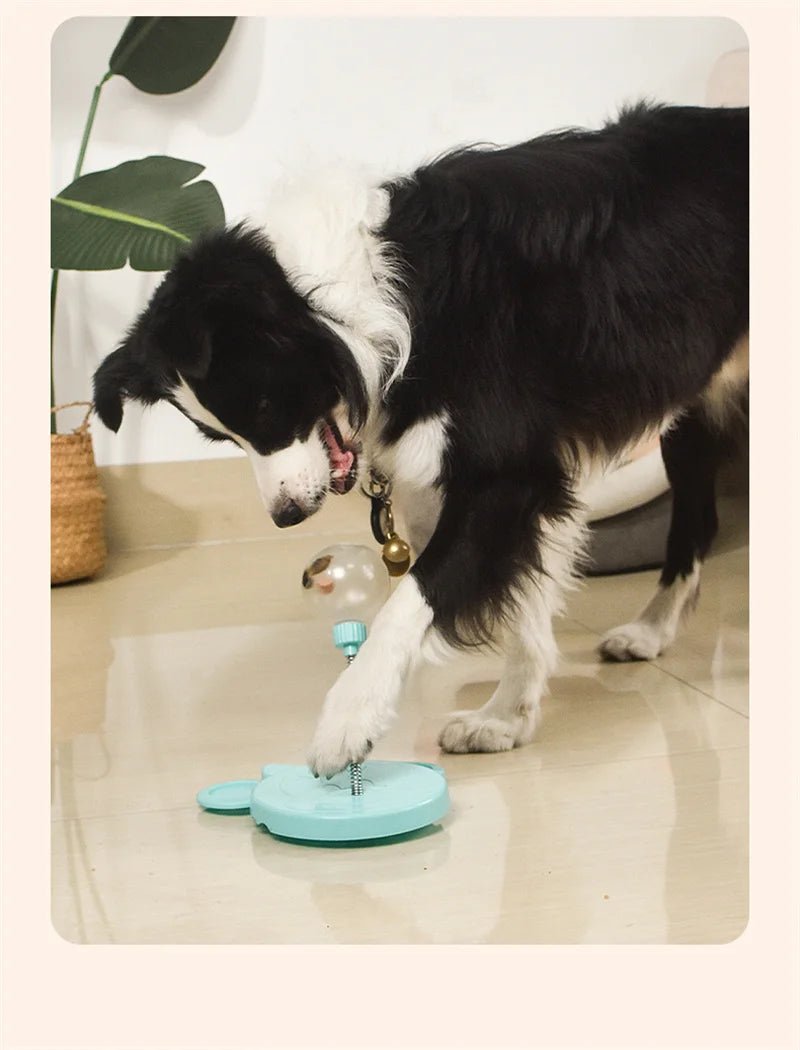 Wholesale Bulk Pet Puzzle Food Leaking Ball Toy Cat Dog Interactive Treat Leaking Toy Catnip Slow Cat Dog Feeder Fun Pet Products Accessories - Furbury