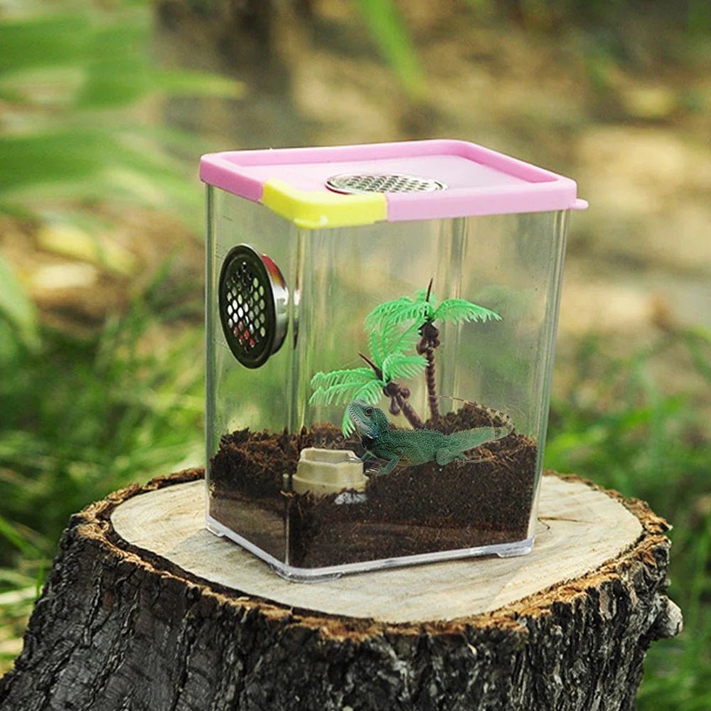 Wholesale Bulk Reptile Breeding Box Clear Acrylic Reptile Feeding Box Insect Box Mantis Breeding Insect Reptile Cage Terrarium Terrarium - Furbury