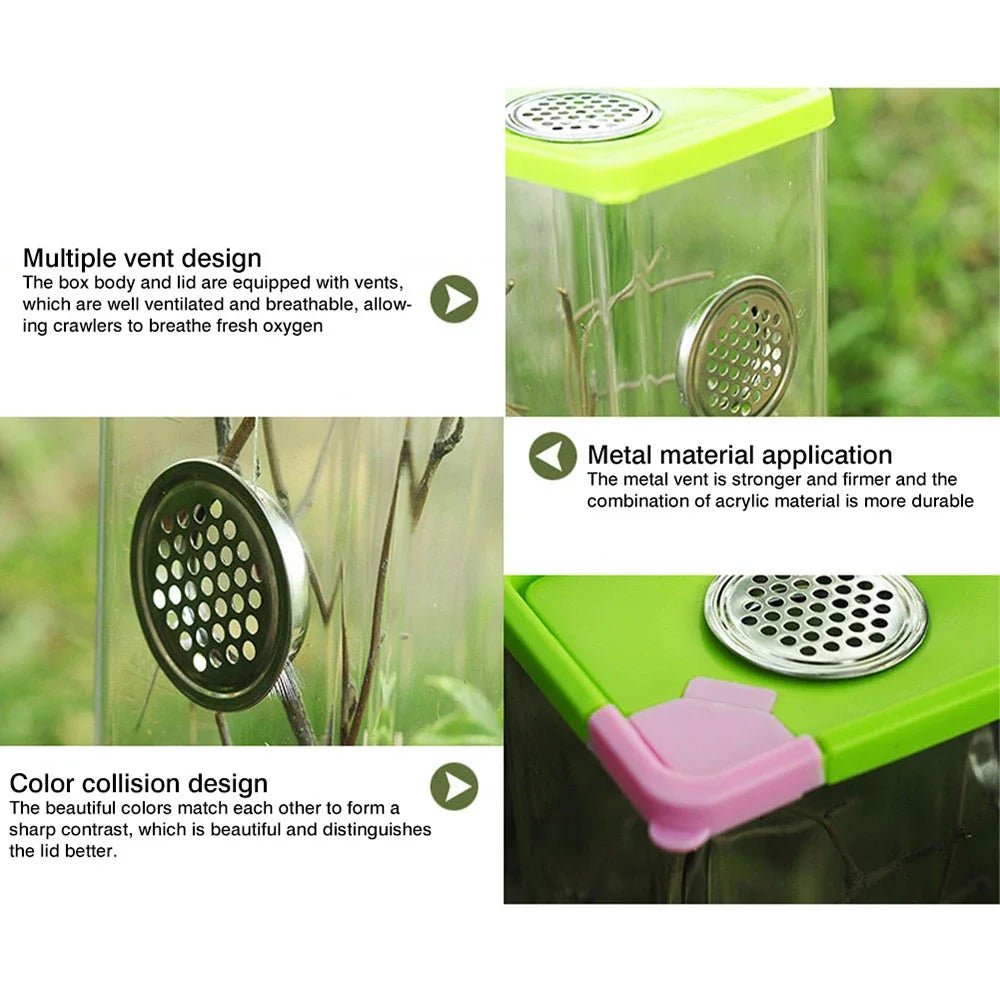 Wholesale Bulk Reptile Breeding Box Clear Acrylic Reptile Feeding Box Insect Box Mantis Breeding Insect Reptile Cage Terrarium Terrarium - Furbury
