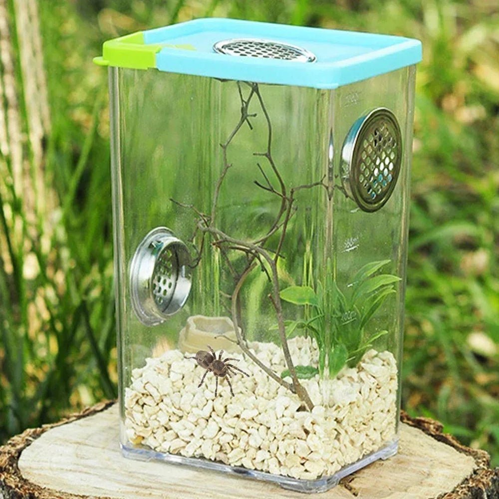 Wholesale Bulk Reptile Breeding Box Clear Acrylic Reptile Feeding Box Insect Box Mantis Breeding Insect Reptile Cage Terrarium Terrarium - Furbury
