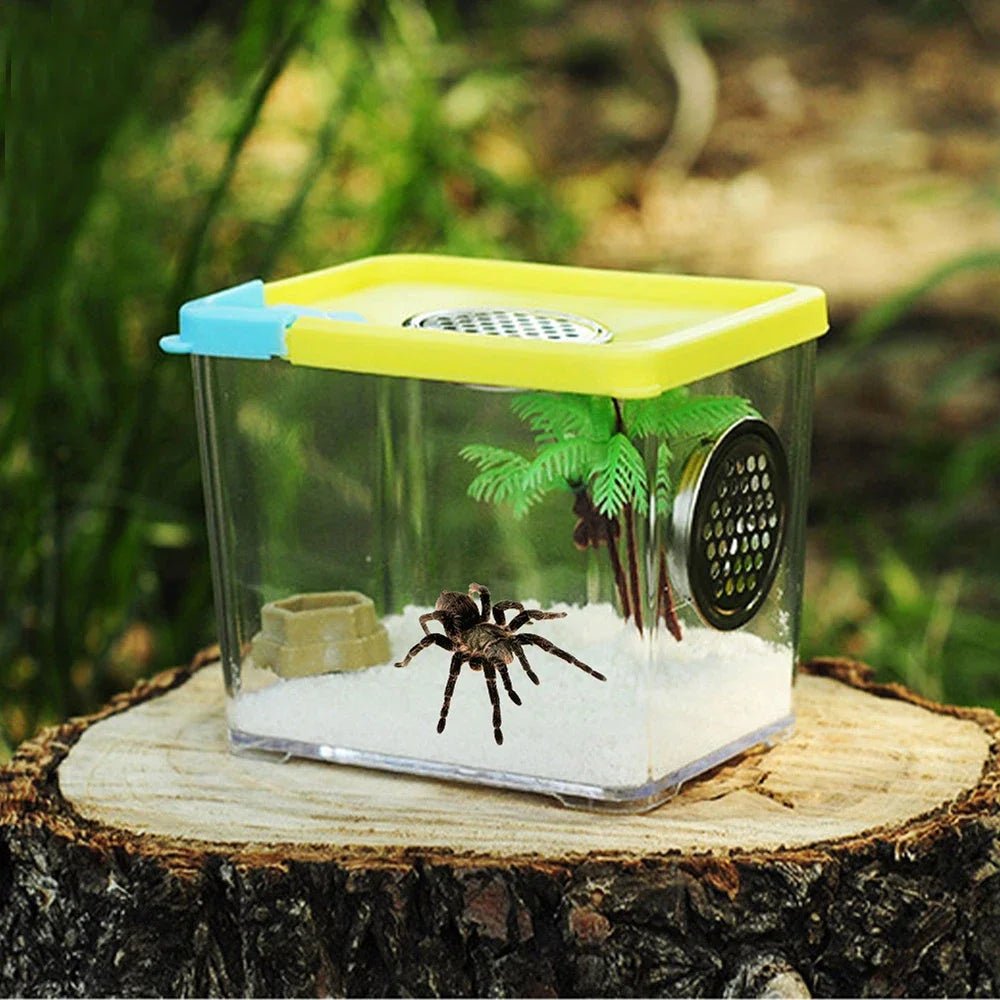 Wholesale Bulk Reptile Breeding Box Clear Acrylic Reptile Feeding Box Insect Box Mantis Breeding Insect Reptile Cage Terrarium Terrarium - Furbury