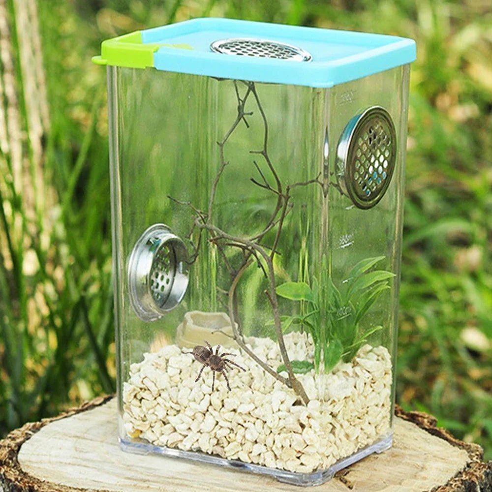 Wholesale Bulk Reptile Breeding Box Clear Acrylic Reptile Feeding Box Insect Box Mantis Breeding Insect Reptile Cage Terrarium Terrarium - Furbury