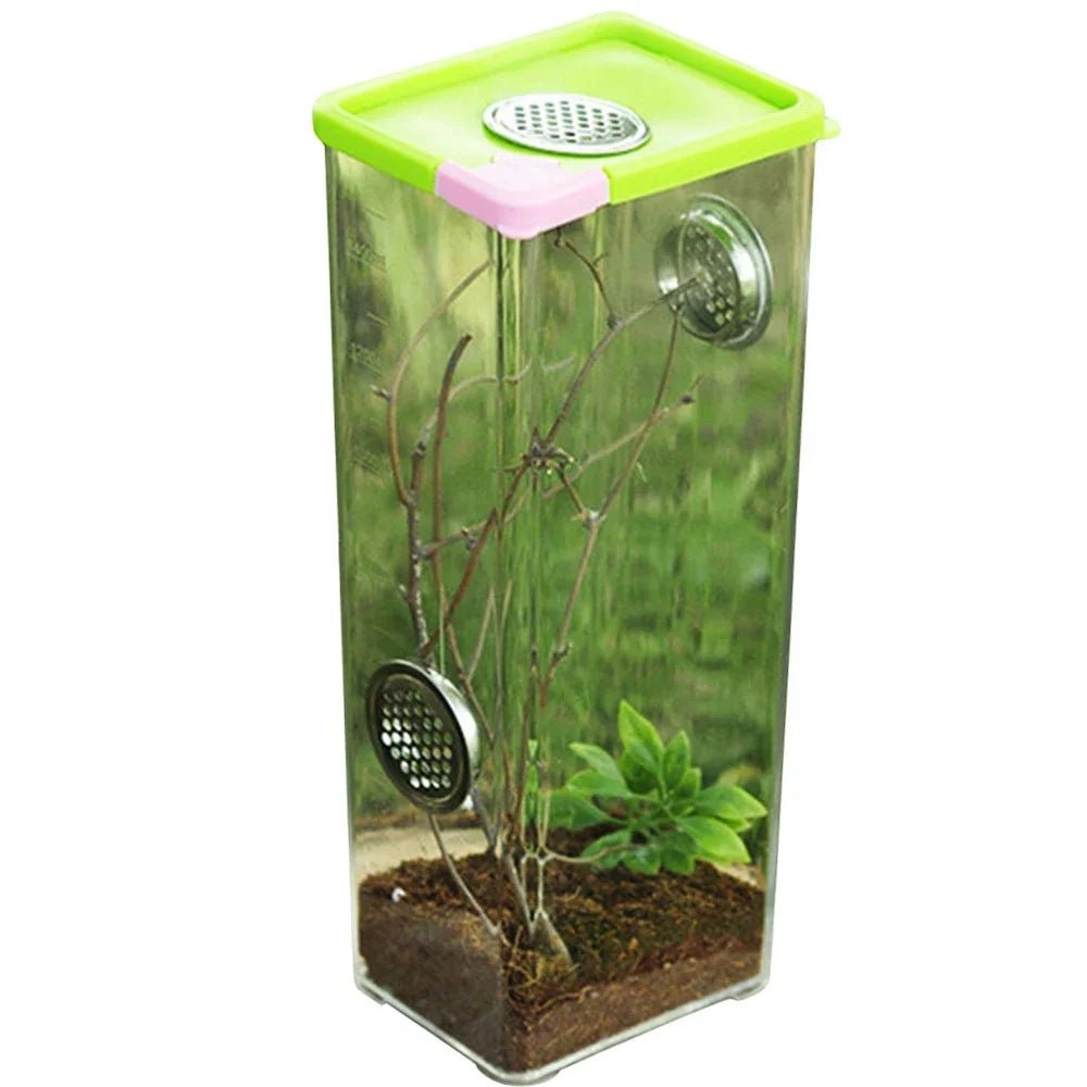 Wholesale Bulk Reptile Breeding Box Clear Acrylic Reptile Feeding Box Insect Box Mantis Breeding Insect Reptile Cage Terrarium Terrarium - Furbury