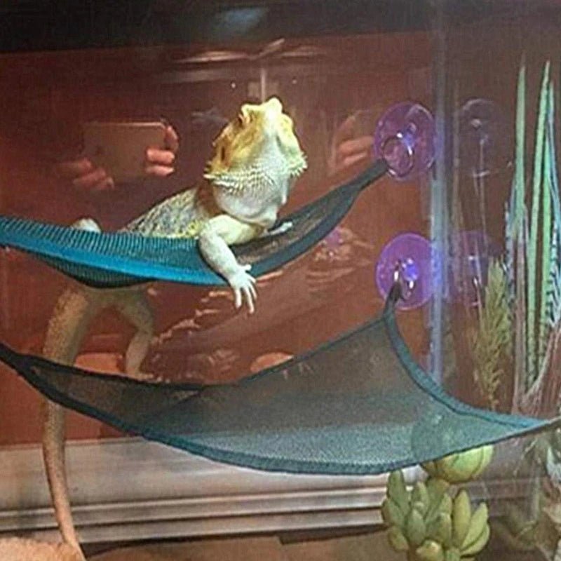 Wholesale Bulk Reptile Hammock Lounger Ladder Accessories Set for Large Small Bearded Dragons Anole Geckos Lizards or Snakes Reptile Accessorie - Furbury
