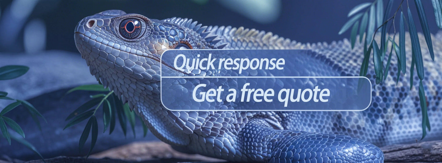 Wholesale Reptile Rack System Small Python Boa Reptile Plastic Pp Breeding Box Tubs Enclosure System Lizard Rack Breeding Bed - Furbury